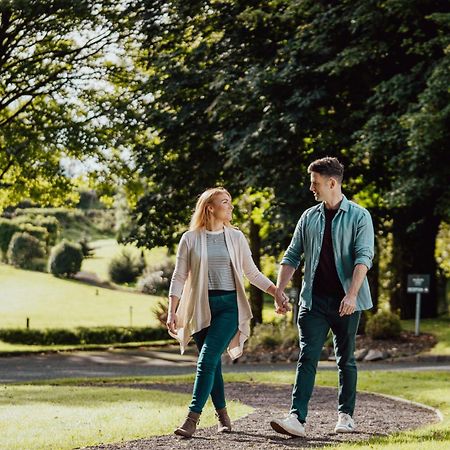 Millbrook Lodge Ballynahinch Kültér fotó